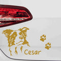 aufkleber-border-collie-mit-wunschname-pfoten-gold
