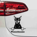 aufkleber-deutscher-pinscher-schwarz