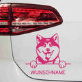 aufkleber-portrait-akita-hund-pink