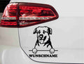 aufkleber-portrait-chinook-hund-schwarz