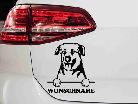aufkleber-portrait-chinook-hund-schwarz
