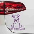 aufkleber-portrait-greyhound-violett
